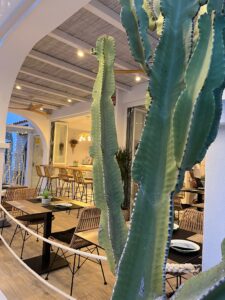 Restaurante Capritxos Formentera